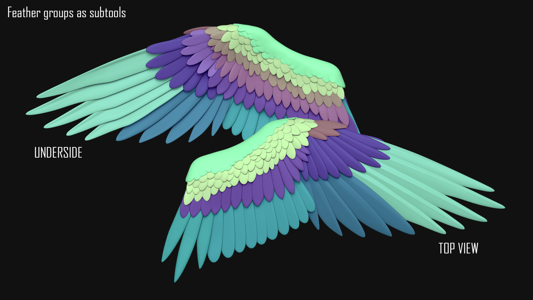 modelling bird wings zbrush for animation