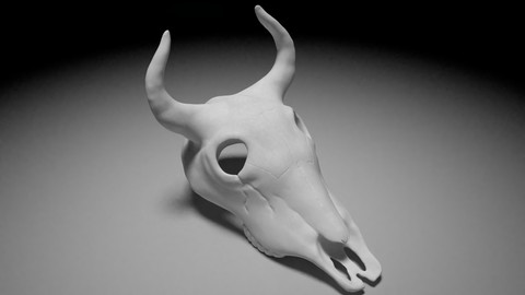 Bullskull Sculpt
