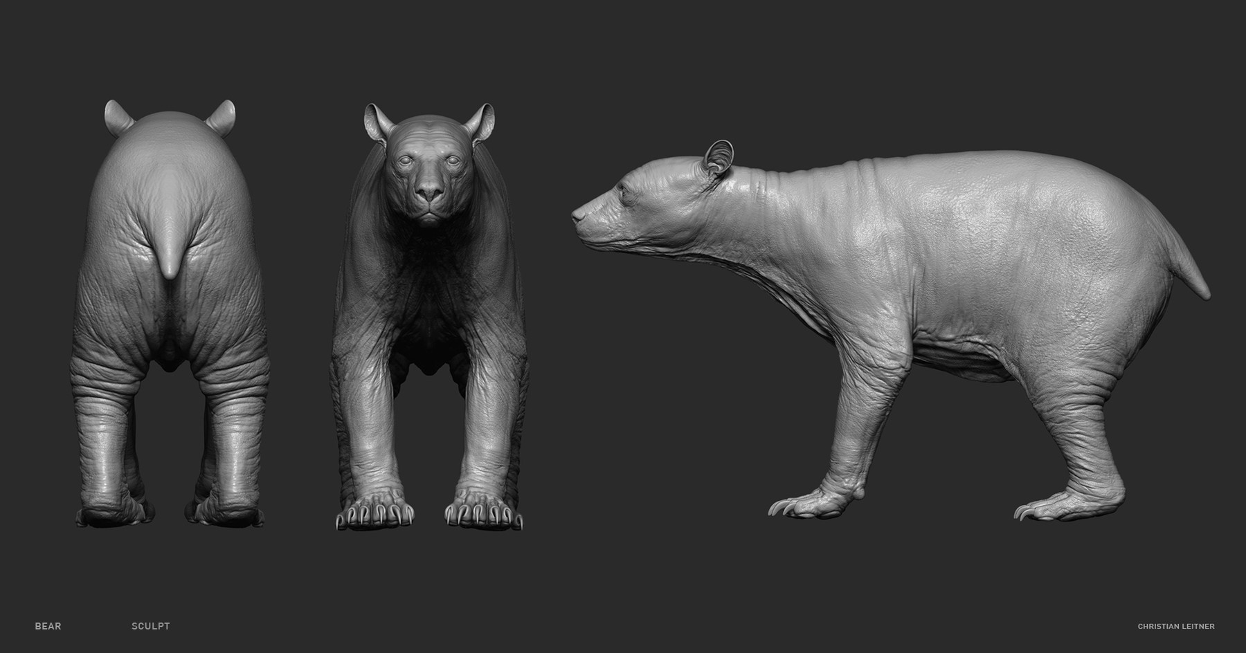 ArtStation - Bear Sculpt in Blender