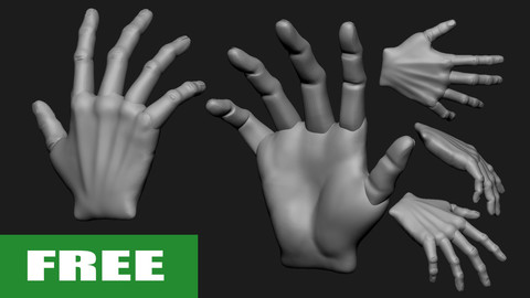 HAND BASE MESH