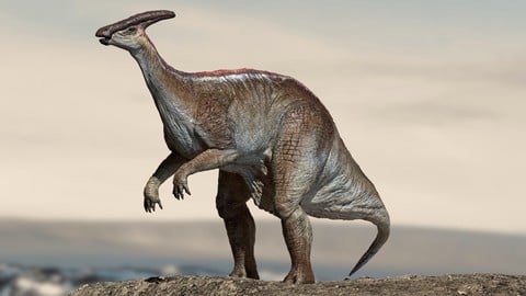 Parasaurolophus 3D (Rigged) model