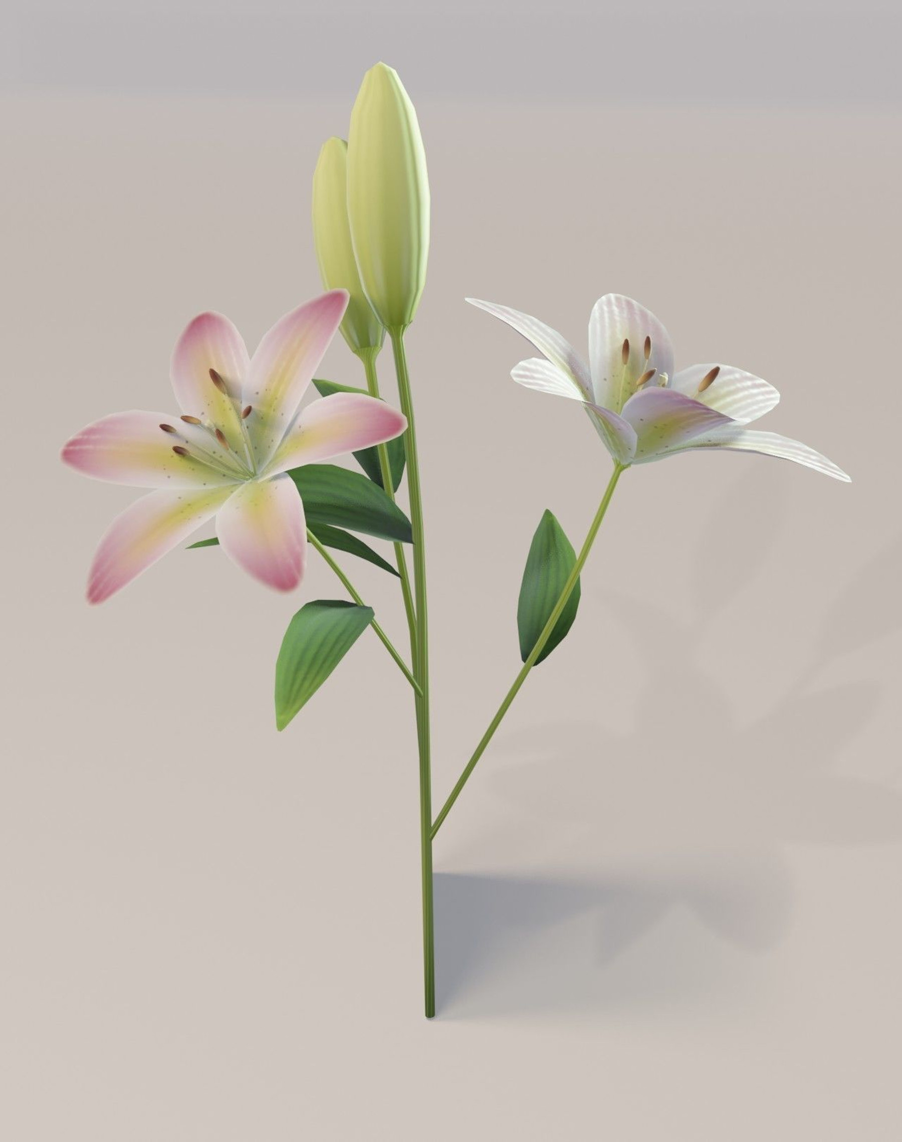 345 Pixel Lily Images, Stock Photos, 3D objects, & Vectors