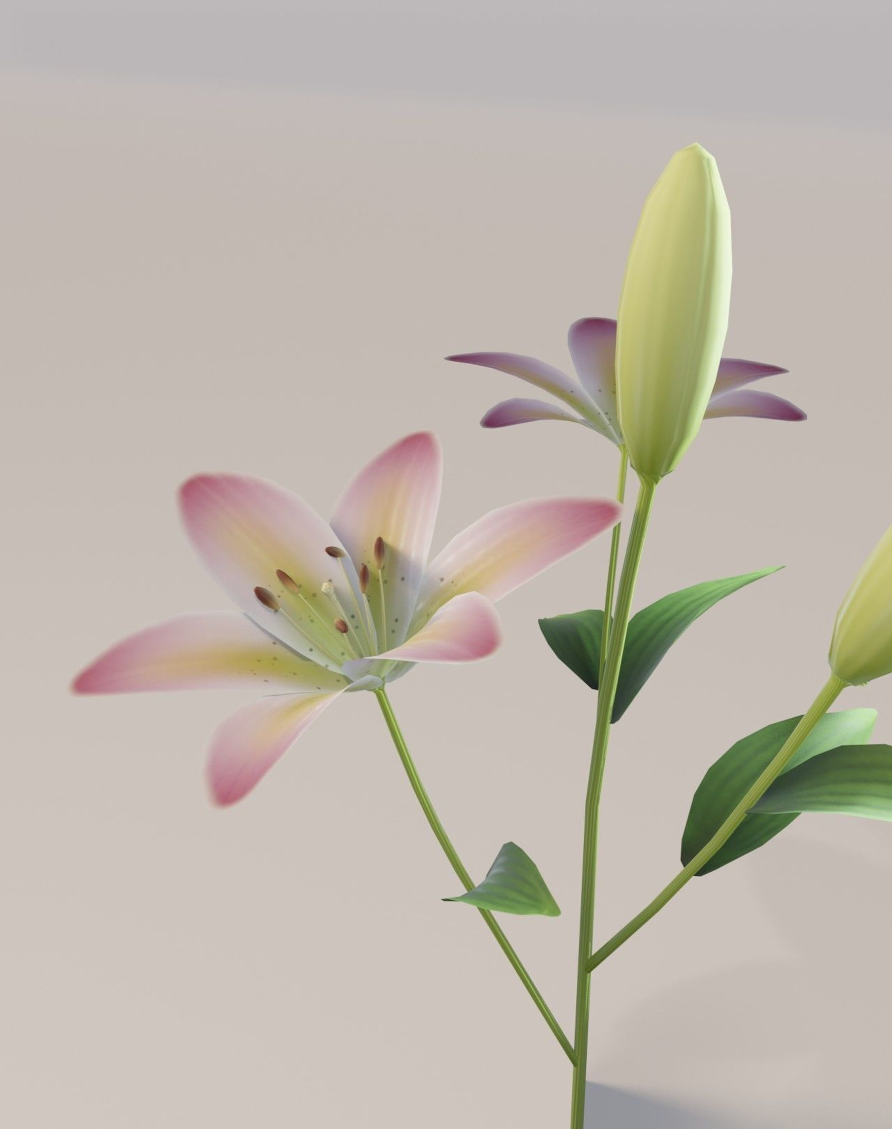 346 Pixel Lily Images, Stock Photos, 3D objects, & Vectors