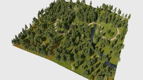 Forest paths in Blender