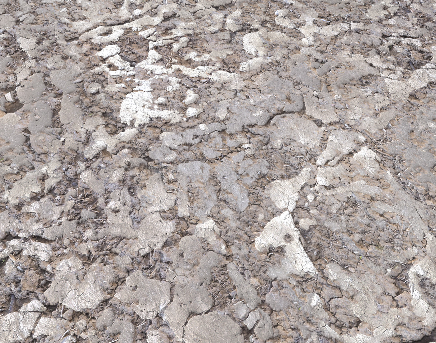 ArtStation Desert Wasteland ground PBR Pack 2 Textures Resources