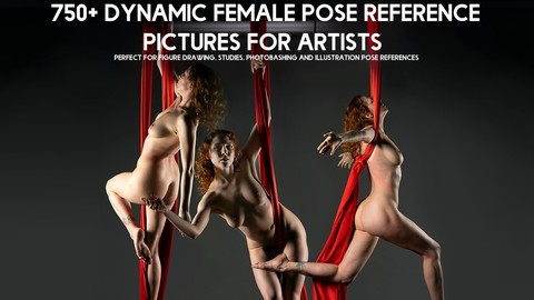 750+ Dynamic Female Pose Reference Pictures