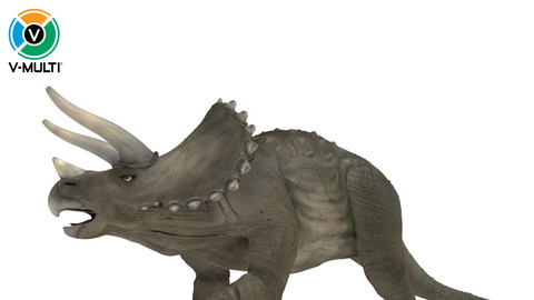3D Model: Triceratops Rigged