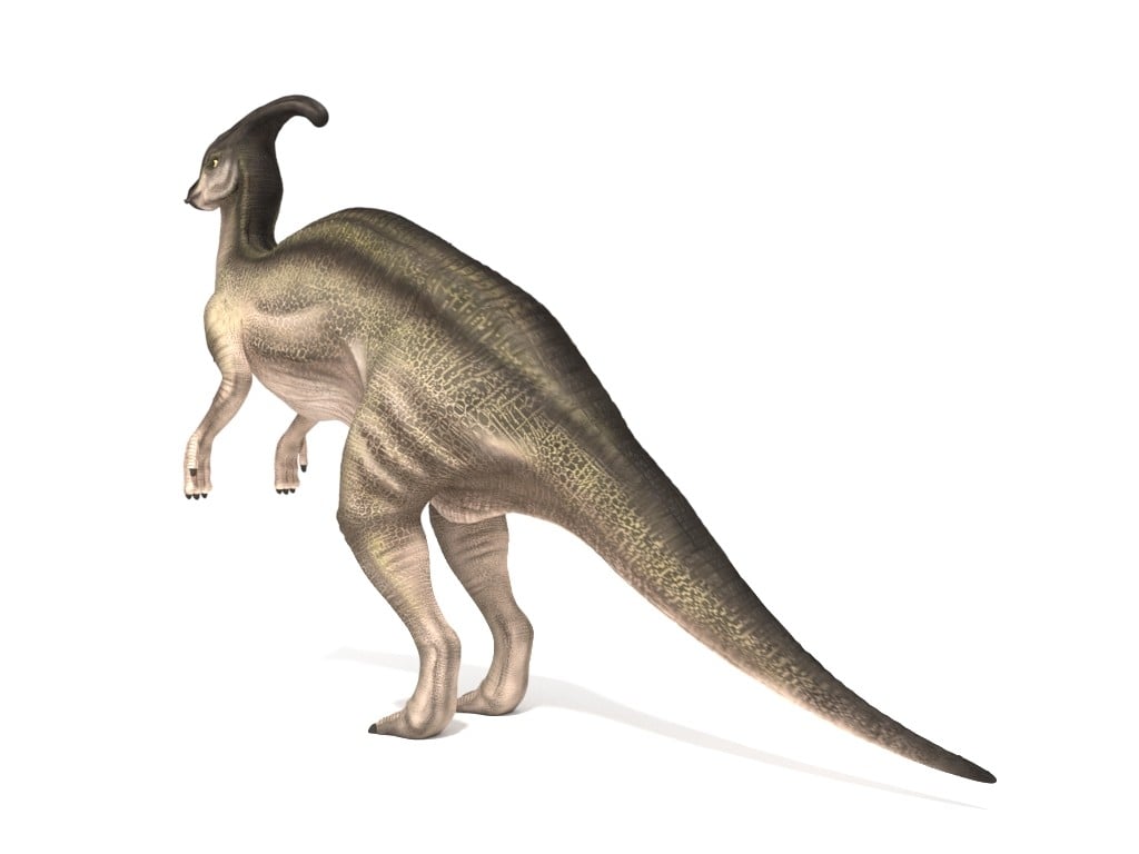 accurate parasaurolophus