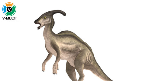 3D Model: Parasaurolophus Rigged
