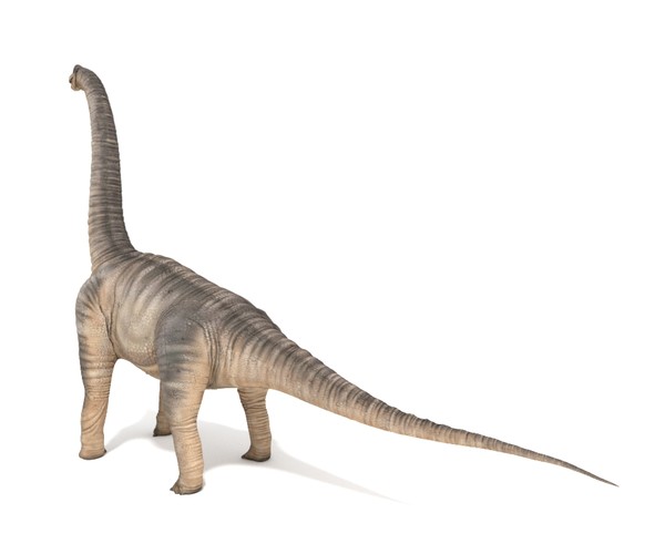 File:Long neck dino Long neck Brachiosaurus animation cartoon video game  sprite 3D model.png - Wikimedia Commons