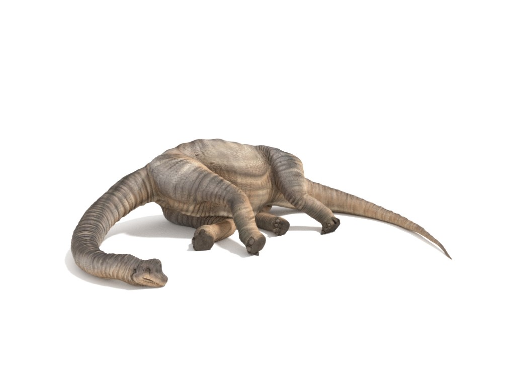 brachiosaurus 3d