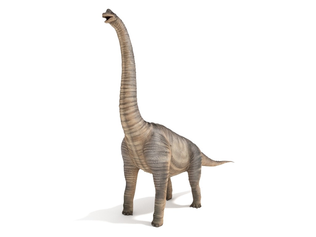 brachiosaurus 3d view