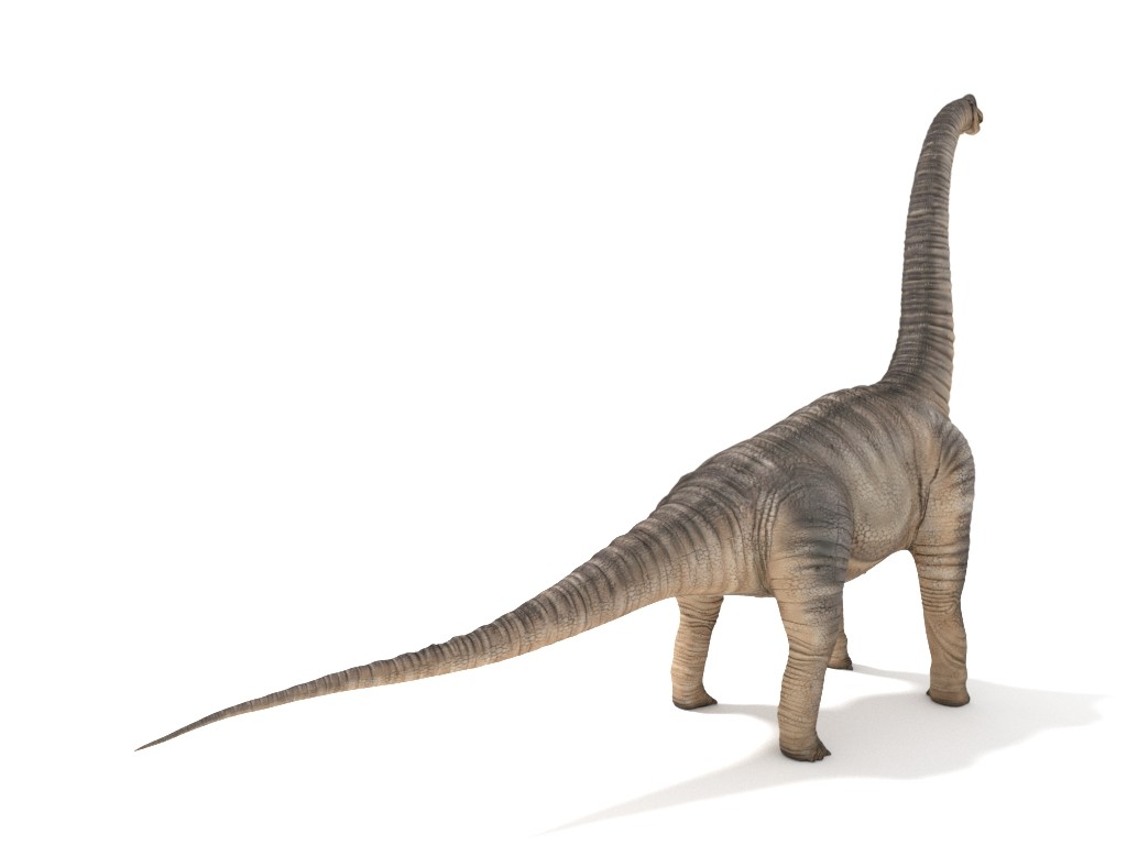 3d brachiosaurus