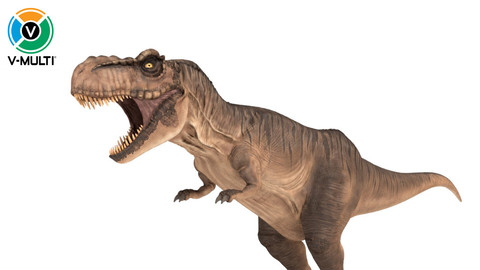 3D Model: Tyrannosaurus Rex