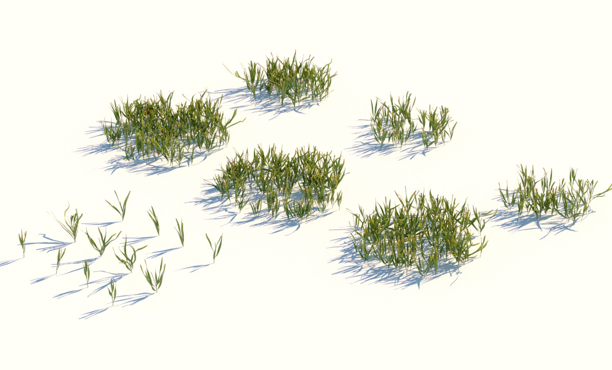 ArtStation - lawn realistic grass | Resources