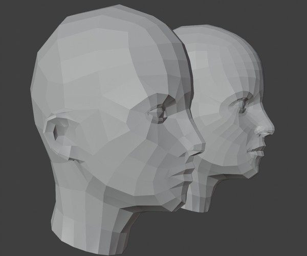 Human Heads Male Female Low Poly 3D Model 3D Model $9   Unknown   Free3D