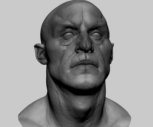 ArtStation - Creature Head | Resources