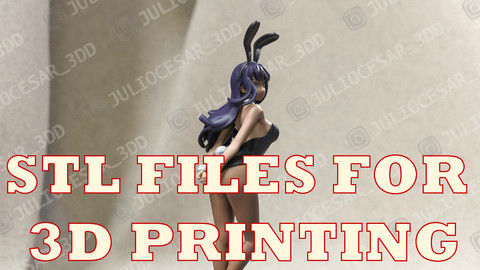 SEISHUN BUTA YAROU WA BUNNY GIRL SENPAI NO YUME WO MINAI