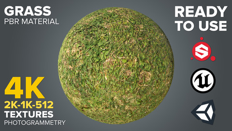 Grass - Photogrammetry-based Environment Texture