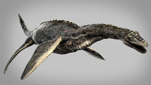 Plesiosaurus 3D Rigged model