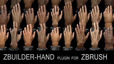 Human Zbuilder - Hand