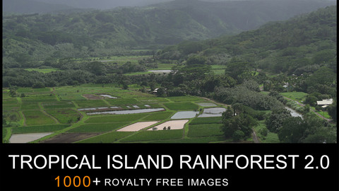 REF PACK TROPICAL ISLAND RAINFOREST