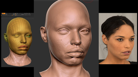 Jazzy (female) Head - 3d scanned & remeshed with texture reference photography (cross-polarized)