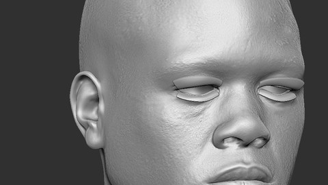 Boxer_01 Head (Male) - remeshed 3D Zbrush file with texture reference Photography (cross-polarized)