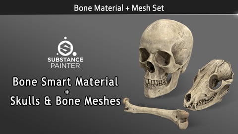 Bone Pack - Smart Material & Meshes