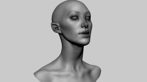 Female Head 05