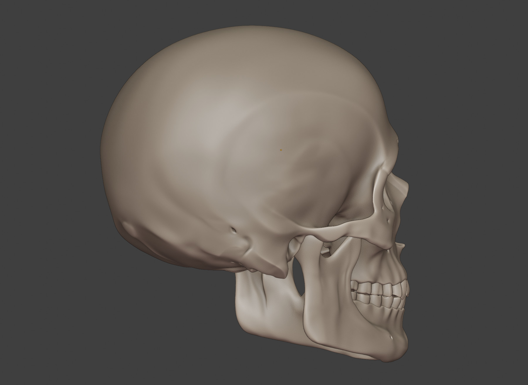 ArtStation - Perfect Shaped Skull Basemesh WIP | Resources