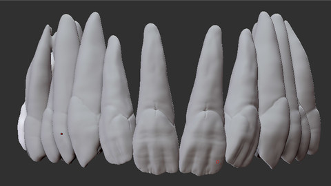 FULL UPPER TEETH IMM BRUSH