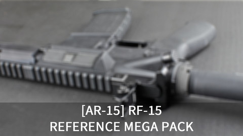 [150+] AR-15 Rifle References Pack