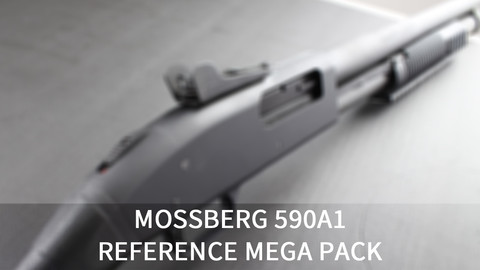 [110+] Mossberg 590A1 Shotgun References Pack