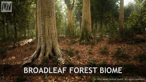 UE4 - BROADLEAF FOREST BIOME