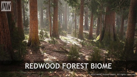 UE4 - REDWOOD FOREST BIOME