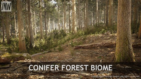 UE4 - CONIFER FOREST BIOME