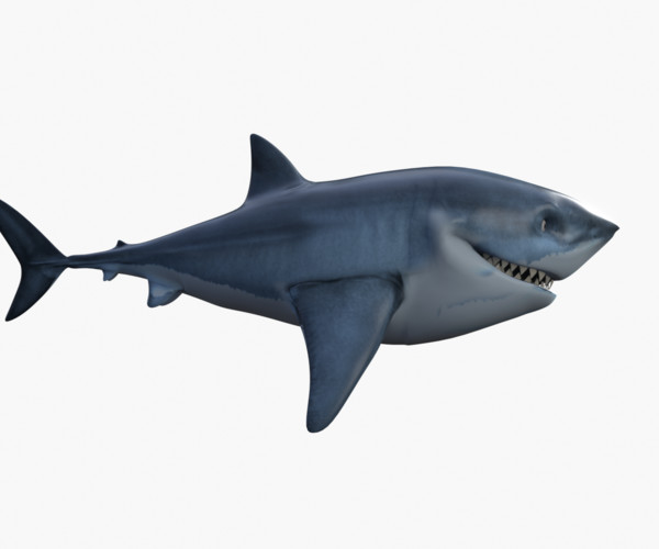 ArtStation - Bruce The Shark | Resources