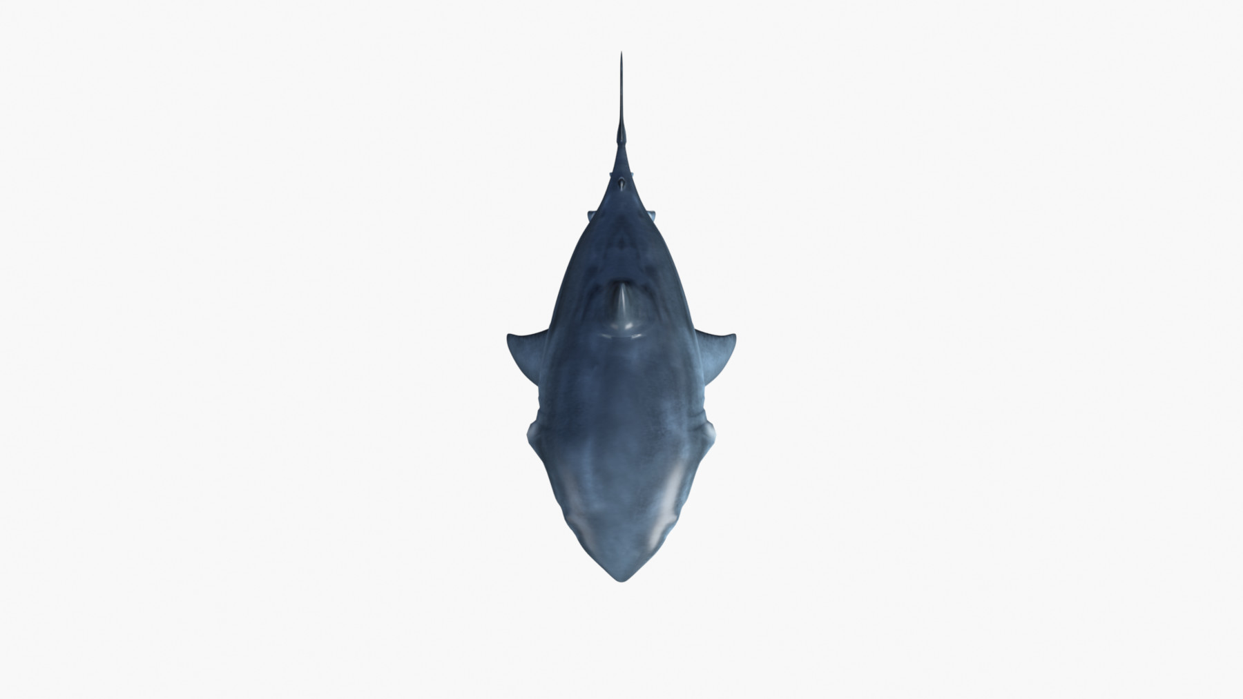 ArtStation - Bruce The Shark | Resources