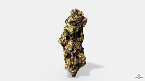 Marijuana Bud 3 - Photoscanned PBR