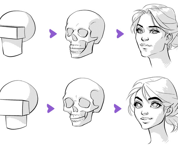 ArtStation - Facial anatomy for stylized and realistic style | Tutorials