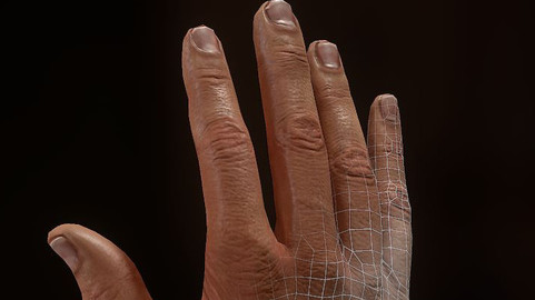 3D Hand Model