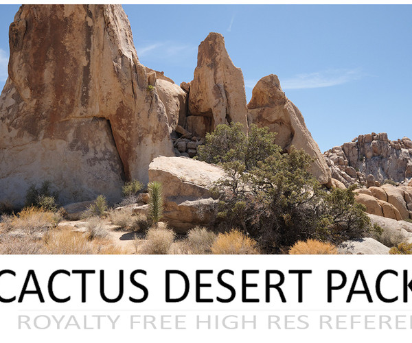 ArtStation - CACTUS DESERT PACK | Resources