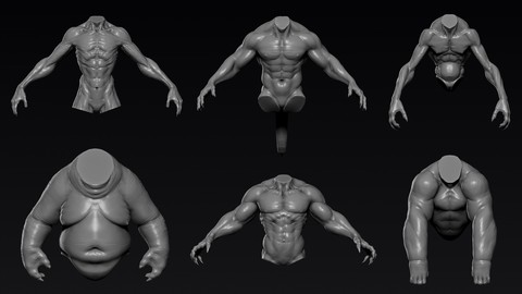 Creature Upper Body Part 1