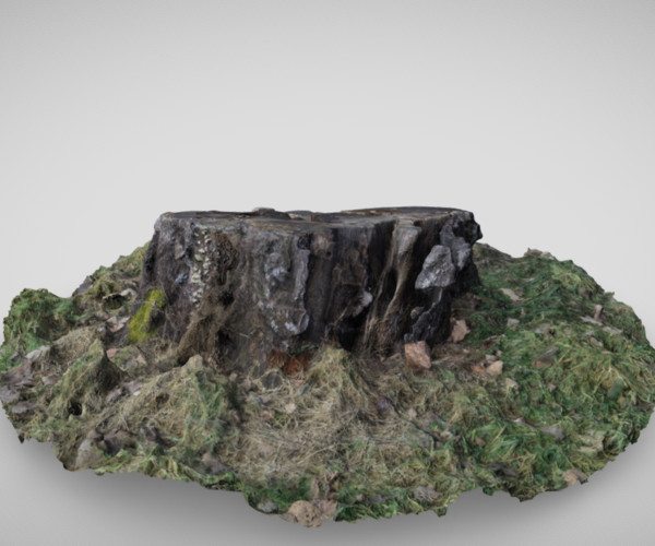 ArtStation - Mossy Stump | Game Assets