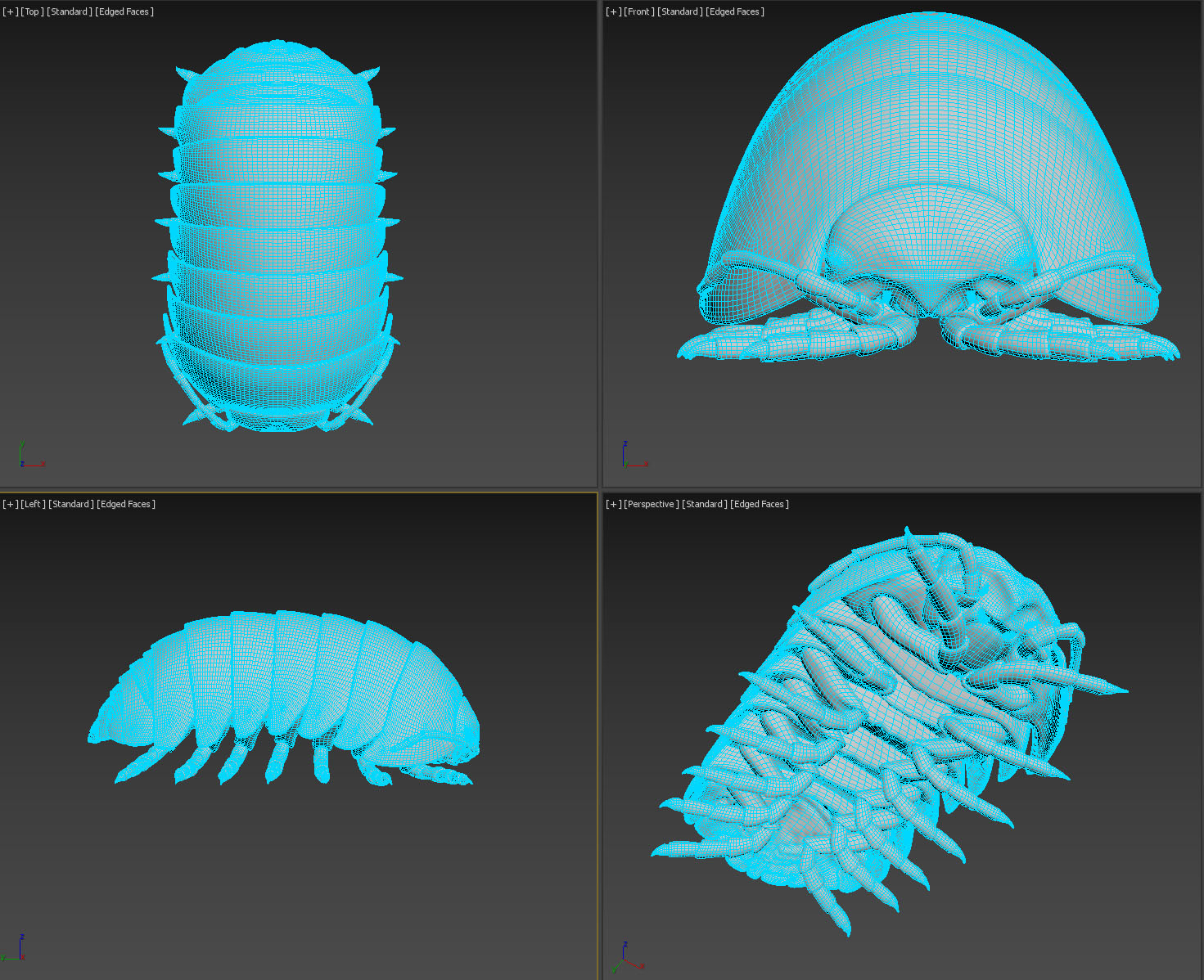 Artstation Roly Poly Isopod Basemesh Resources