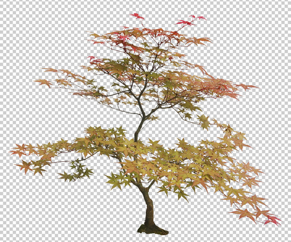 product thumbnail 7