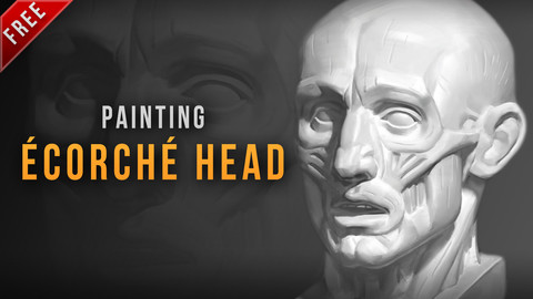 Ecorche head painting process
