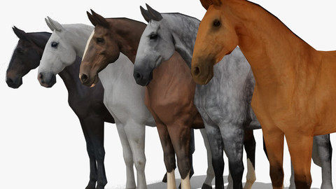 LowPoly Horses Pack 2