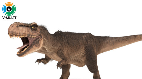 3D Model: Tyrannosaurus Rex Rigged Fur
